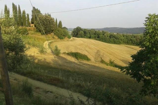 Casa Michelangelo Lägenhet Megognano Exteriör bild