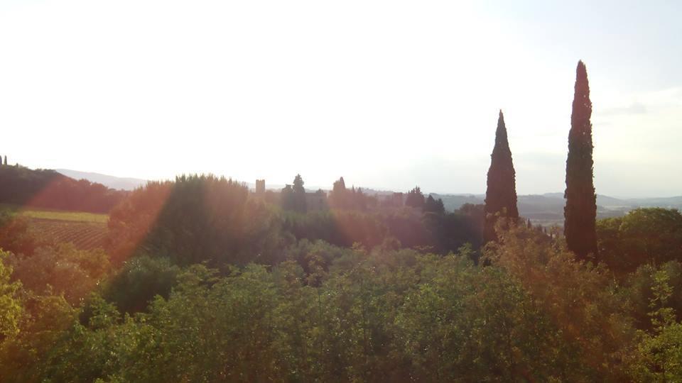 Casa Michelangelo Lägenhet Megognano Exteriör bild